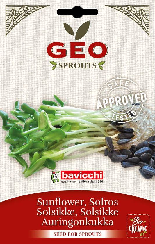 Bio Keimsprossen-Probierset SunClover – Milde Sonne. Sanfter Klee. Warmer Orient.
