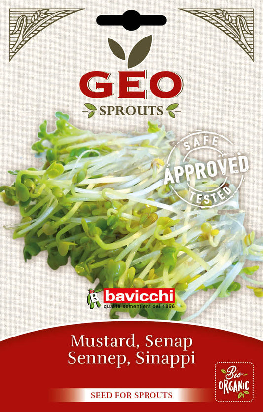 Feinsämereien-Probierset Bio – ideal für Keimschale & Microgreens