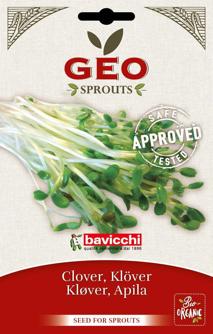 Bio Keimsprossen-Probierset SunClover – Milde Sonne. Sanfter Klee. Warmer Orient.