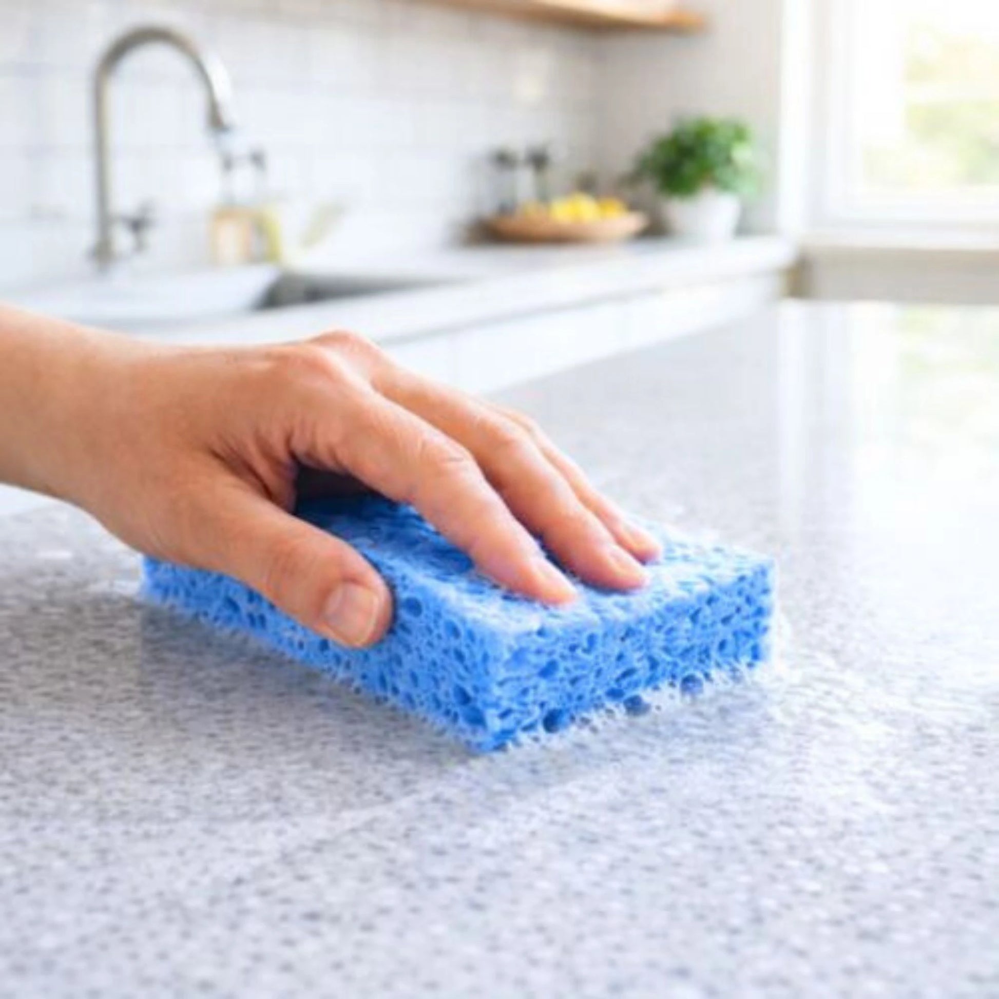 Zellulose Schwamm blau bei Küchenreinigung