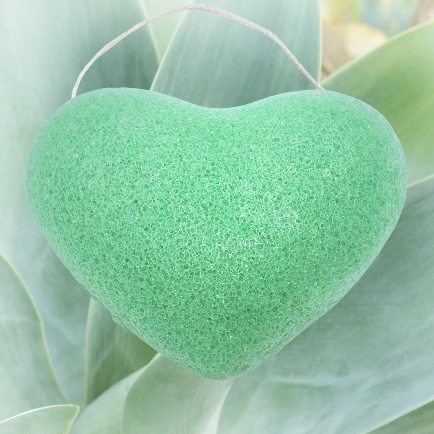 Konjac-Schwamm in Herzform, grün, vor Aloe Vera