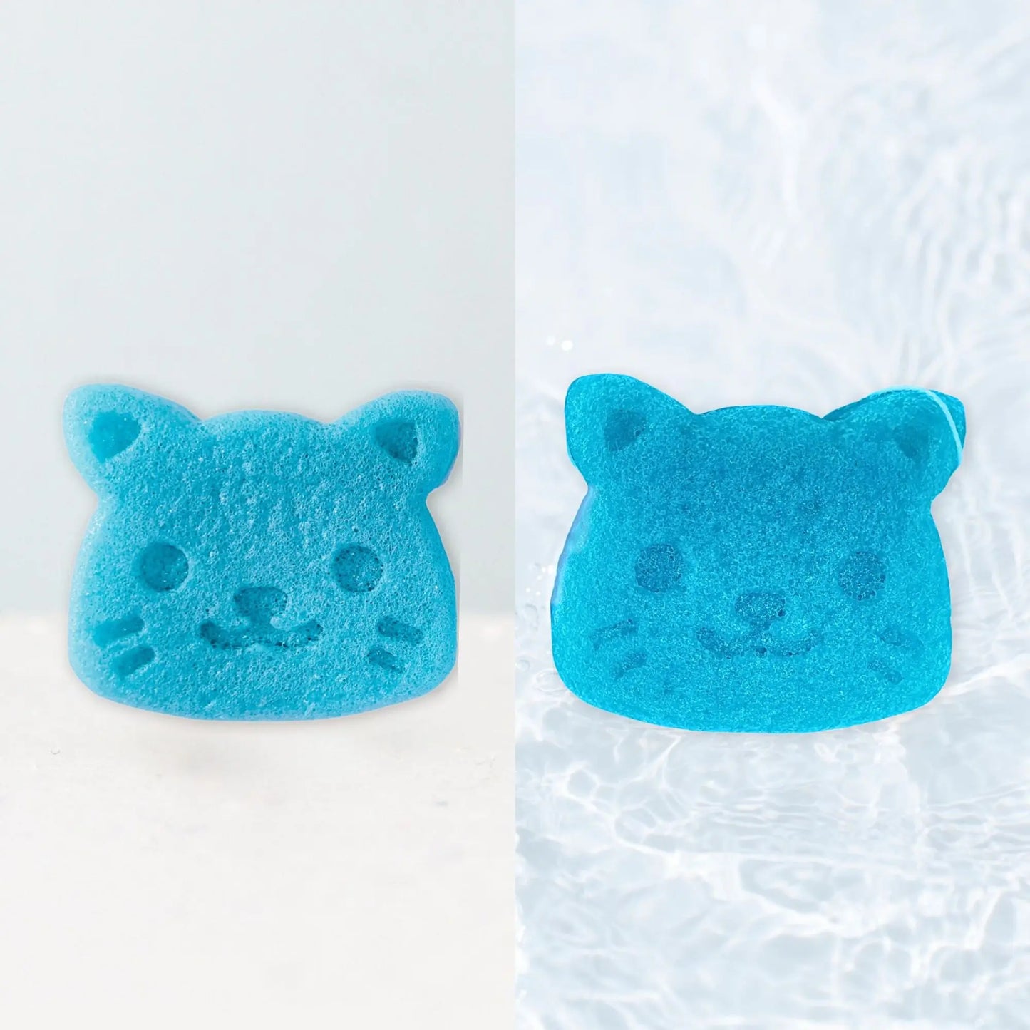 Vergleich Konjakschwamm trocken und nass, blaue Katze