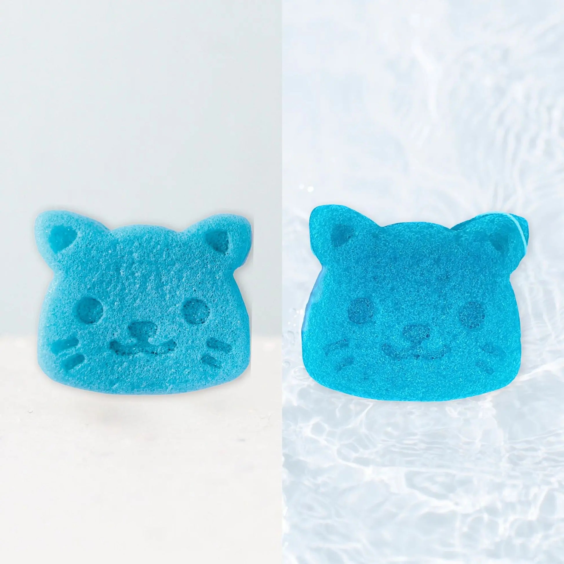 Vergleich Konjakschwamm trocken und nass, blaue Katze